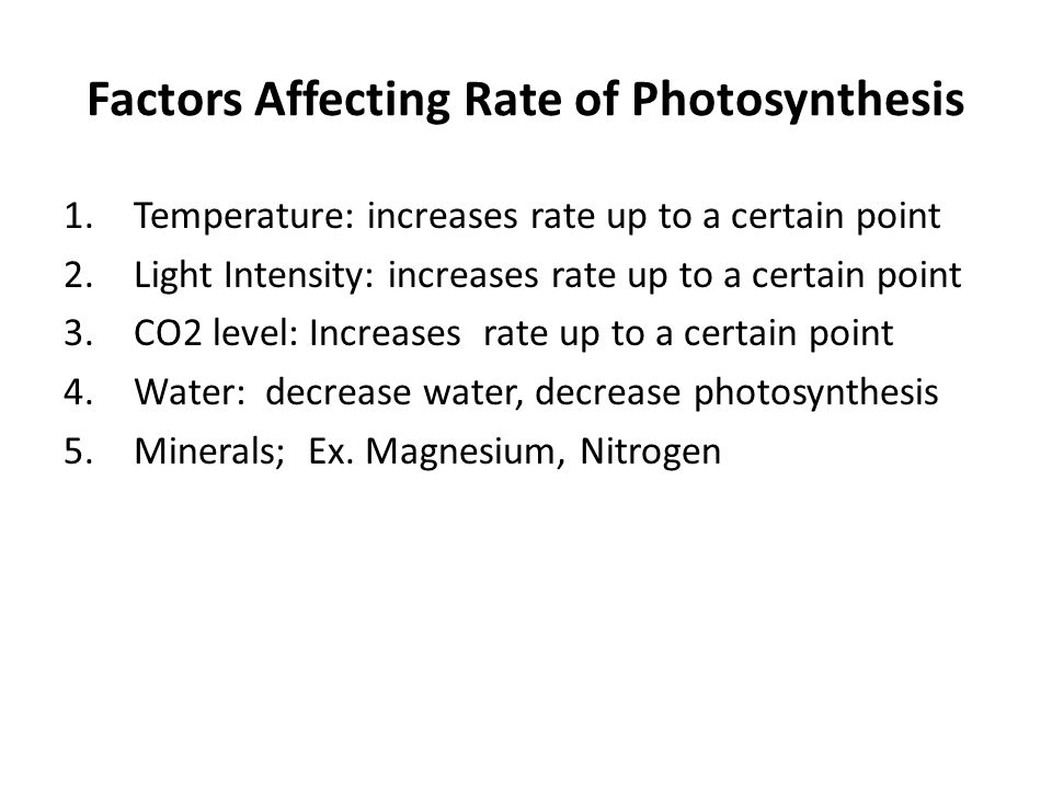 Name 3 Factors the affect the rate of photosynthesis?